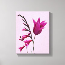 Hübsche Pink Tulpe Blume Moderne Blumenkunst