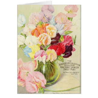 Hübsche Platterbsen