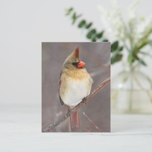 Hübsche Pose Postkarte (Stehend Vorderseite)