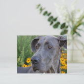 Hübsche Postkarte (Stehend Vorderseite)