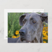 Hübsche Postkarte (Vorne/Hinten)