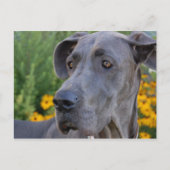 Hübsche Postkarte (Vorderseite)