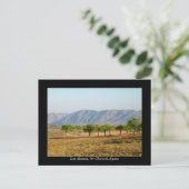 Hübsche Postkarte von Los Alamos, Nr Chirivel, Spa (Stehend Vorderseite)