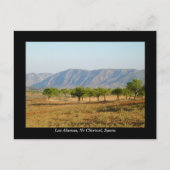 Hübsche Postkarte von Los Alamos, Nr Chirivel, Spa (Vorderseite)