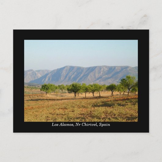 Hübsche Postkarte von Los Alamos, Nr Chirivel, Spa (Vorderseite)