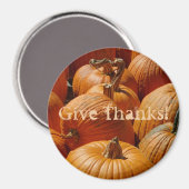 Hübsche Pumpkins in einem Patch Magnet (Vorderseite/Rückseite)