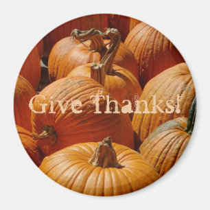 Hübsche Pumpkins in einem Patch Magnet