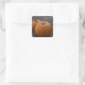Hübsche Pumpkins Quadratischer Aufkleber (Tasche)