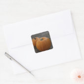 Hübsche Pumpkins Quadratischer Aufkleber (Umschlag)
