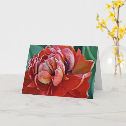 Hübsche Red Tulip und Scripterkarte Karte (Gelbe Blume)