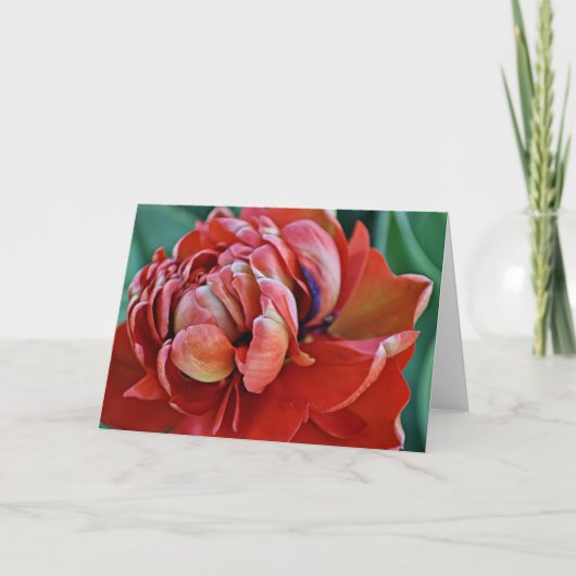 Hübsche Red Tulip und Scripterkarte Karte (Vorderseite)