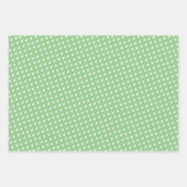 Hübsche Regenbogenfarben F-15E Adlermuster Geschenkpapier Set (Vorderseite 2)