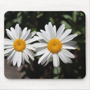 Hübsche reine weiße Gänseblümchen. Mousepad