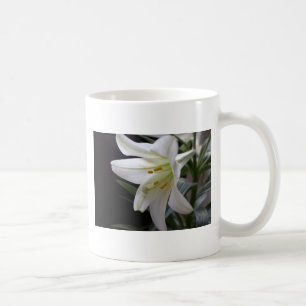 Hübsche, reine weiße Osterglockenblume in Schwarz Kaffeetasse