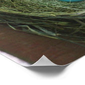 Hübsche Robin-Eier Poster (Ecke)