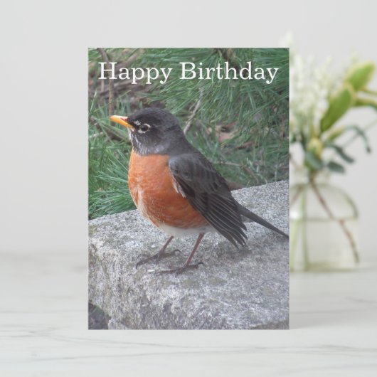 Hübsche Robin Foto Geburtstagskarte (Stehend Vorderseite)