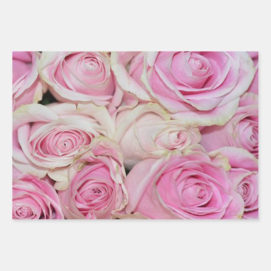 Hübsche romantische Rosa-Rose Geschenkpapier Set (Vorderseite)