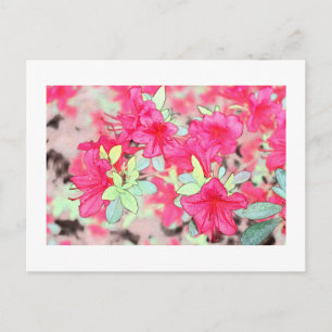 hübsche rosa Azalea Blume. Blumengarten-Pflanze Postkarte