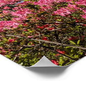 Hübsche rosa Azaleen Blumen Poster (Ecke)