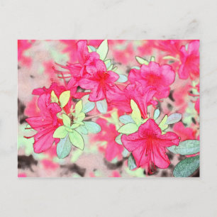 hübsche rosa Azaleenblüten. Florale Gartenpflanze Postkarte