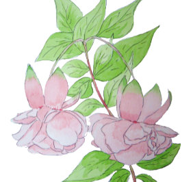 hübsche rosa Blume auf schwarzem Hintergrund Steinuntersetzer