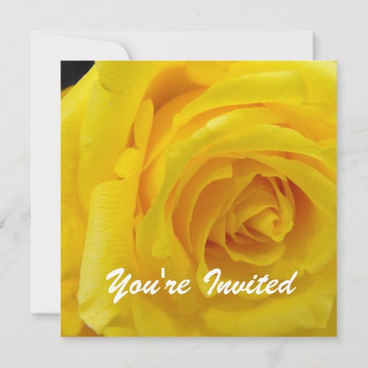 Hübsche Rosa Blume Blanche Hochzeit, Party, Einladung (Rückseite)