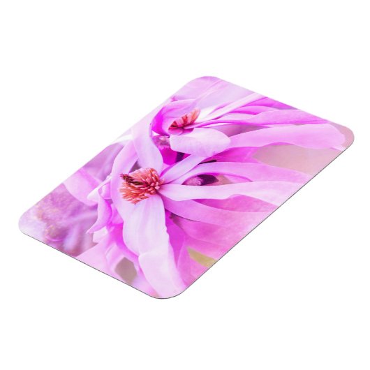 Hübsche rosa Blume blüht Magnet (Linke Seite)