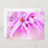 Hübsche rosa Blume blüht Postkarte (Vorne/Hinten)