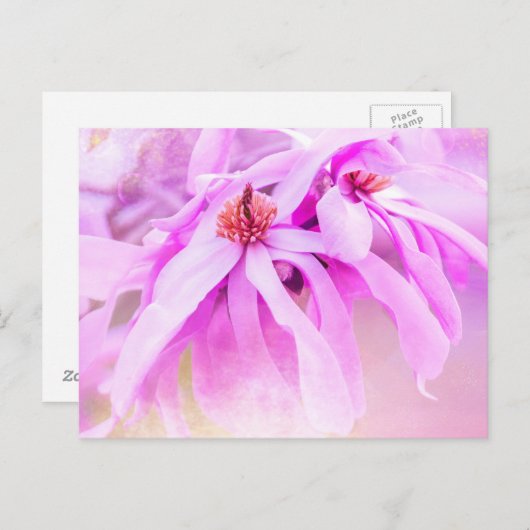 Hübsche rosa Blume blüht Postkarte (Vorne/Hinten)