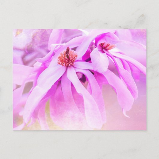 Hübsche rosa Blume blüht Postkarte (Vorderseite)