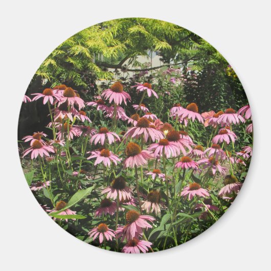 Hübsche rosa Blume des Magnets Midwest Foto Magnet (Vorne)