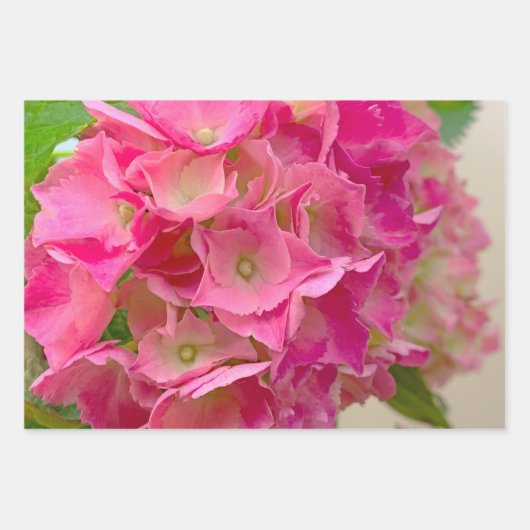 Hübsche rosa Blume Geschenkpapier Set (Vorderseite 3)