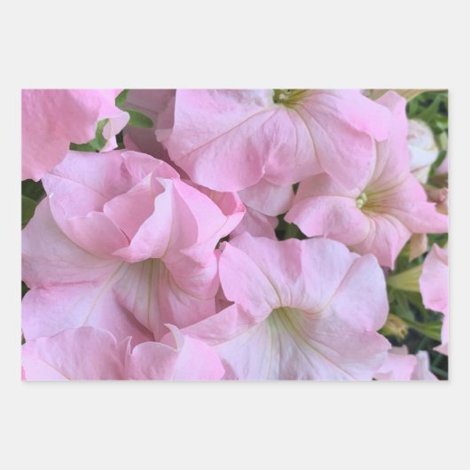 Hübsche rosa Blume Geschenkpapier Set (Vorderseite)