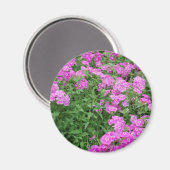 Hübsche rosa Blume Magnet (Vorderseite/Rückseite)