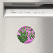 Hübsche rosa Blume Magnet (In Situ (Geschirrspüler))