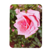 hübsche Rosa-Blume mit süßen Herzen Magnet (Vertikal)