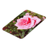 hübsche Rosa-Blume mit süßen Herzen Magnet (Linke Seite)