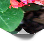 Hübsche rosa Blume Nah Poster (Ecke)