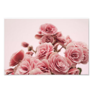 Hübsche rosa Blumen Fotodruck