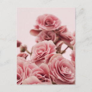 Hubsche Rosen Poster Zazzle De