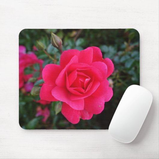 hübsche Rosa-Blumenfotografie Mousepad (Mit Mouse)