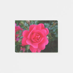 hübsche Rosa-Blumenfotografie Post-it Klebezettel