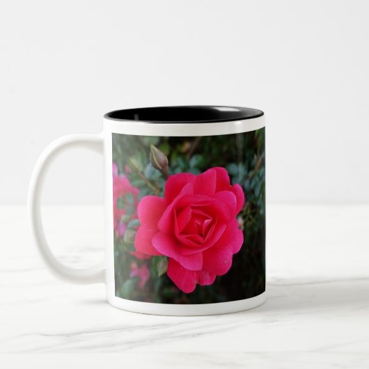 hübsche Rosa-Blumenfotografie Zweifarbige Tasse (Links)