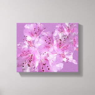 Hübsche rosa Blütenblume Blumen elegant chic Leinwanddruck