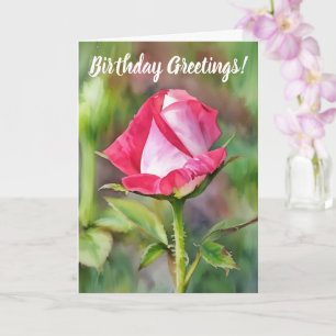 Hübsche Rosa Bud Blume Geburtstagskarte Karte