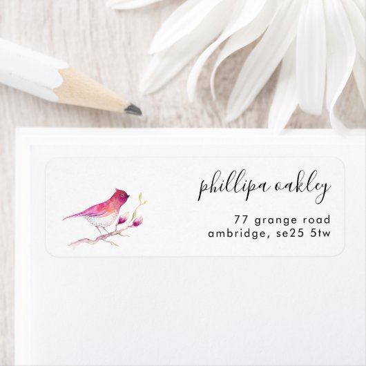 Hübsche Rosa Farbe Bird Rückgabeadresse (Insitu)