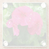 Hübsche Rosa Frühlingsblumen Makrofotografie Glasuntersetzer (Rückseite)