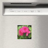 Hübsche Rosa Frühlingsblumen Makrofotografie Magnet (In Situ (Geschirrspüler))