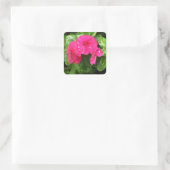 Hübsche Rosa Frühlingsblumen Makrofotografie Quadratischer Aufkleber (Tasche)