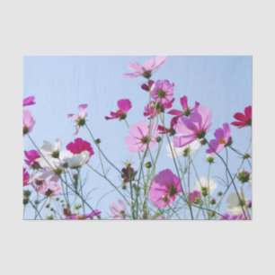 Hübsche rosa Frühlingswiesenblumen Seidenpapier